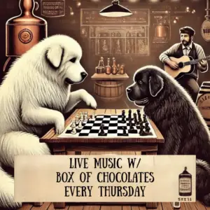 Two large dogs play chess at a table in a cozy bar while a man plays guitar in the background. A sign reads, Live music w/ Box of Chocolates and Bud specials every Thursday.