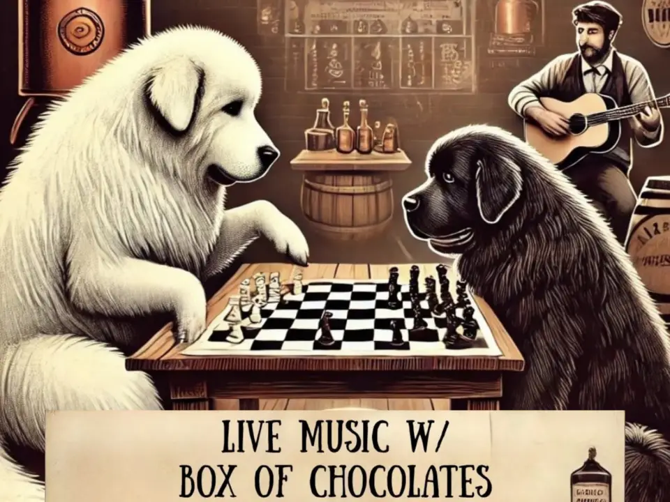 Two large dogs play chess at a table in a cozy bar while a man plays guitar in the background. A sign reads, Live music w/ Box of Chocolates and Bud specials every Thursday.