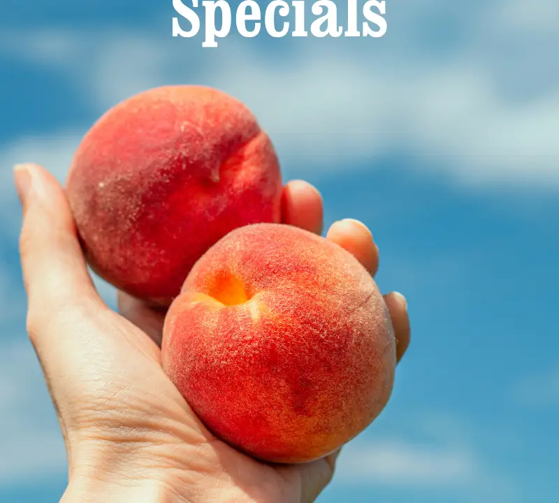A hand holding two ripe peaches against a blue sky, with text promoting Drink Specials for the Palisade Peach Festival and the Peach Street Distillers logo.